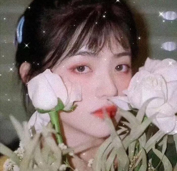 盗贼生涯